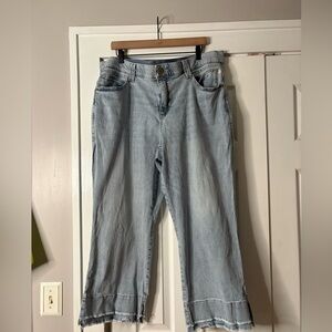 Wit &‎ Wisdom Democracy Cropped Jeans Size 22 New Condition